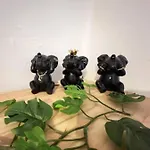 Evasion Jungle 滨海布洛涅