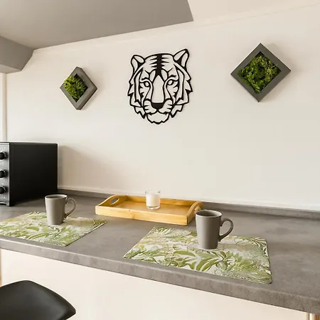 Evasion Jungle Daire