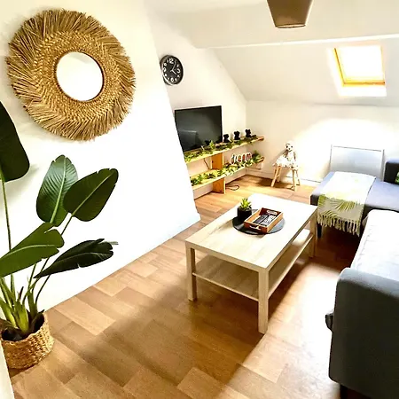 Daire Evasion Jungle *